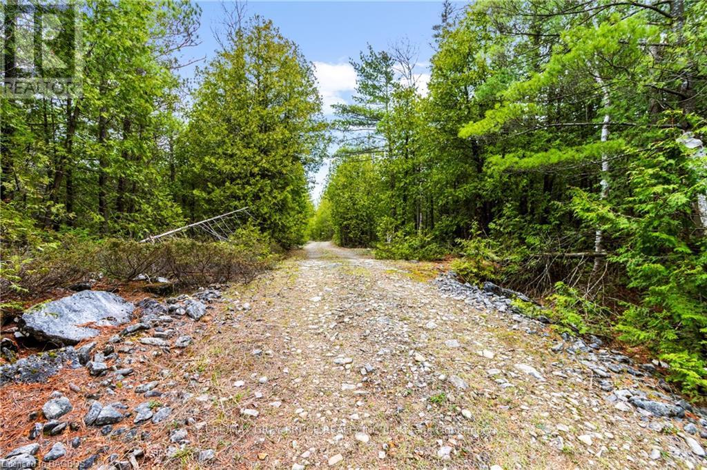 Lt41&42 Concession 4, Northern Bruce Peninsula, Ontario  N0H 1Z0 - Photo 11 - X10848430