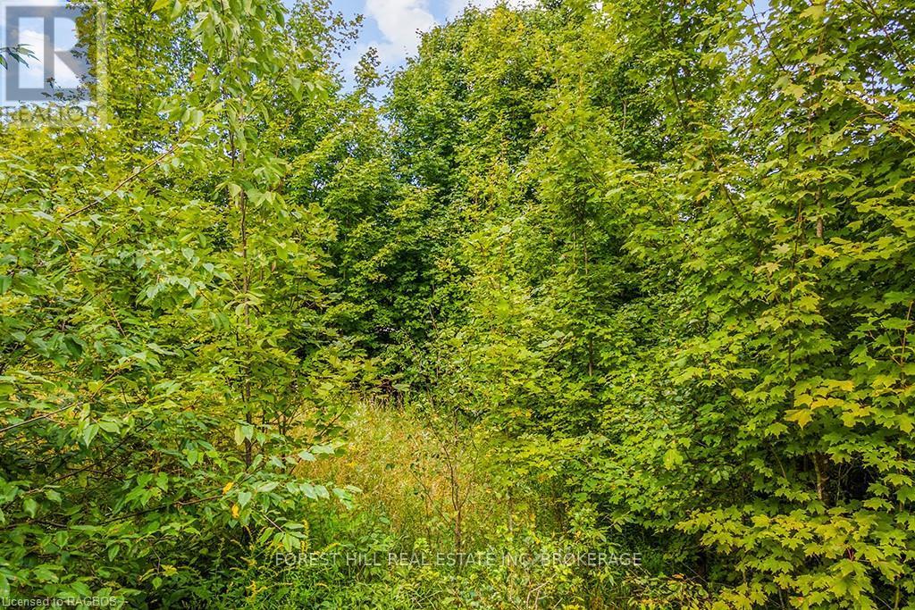 Lt40 Highland Drive, West Grey, Ontario  N0C 1H0 - Photo 12 - X10847514