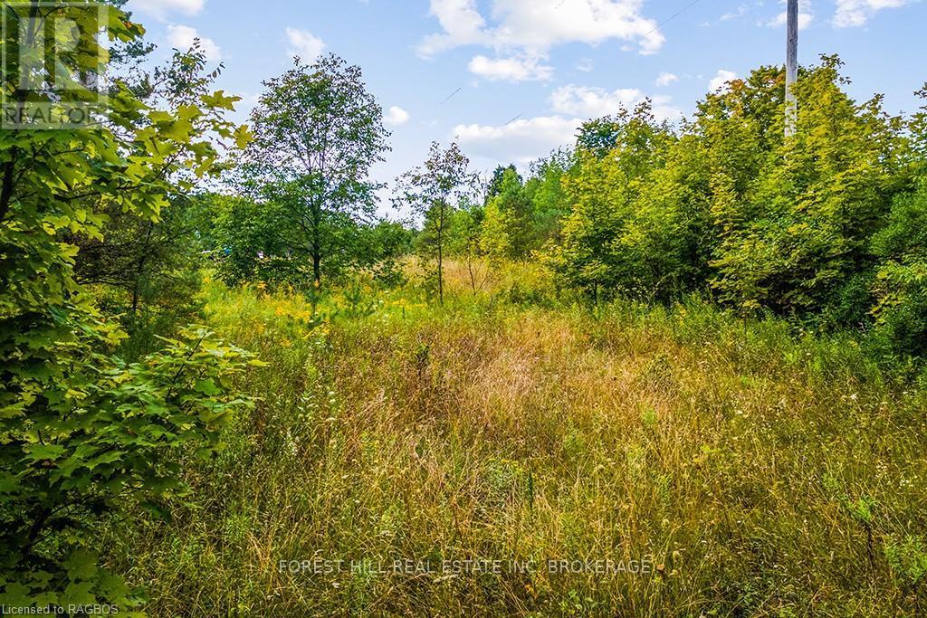 Lt40 Highland Drive, West Grey, Ontario  N0C 1H0 - Photo 13 - X10847514