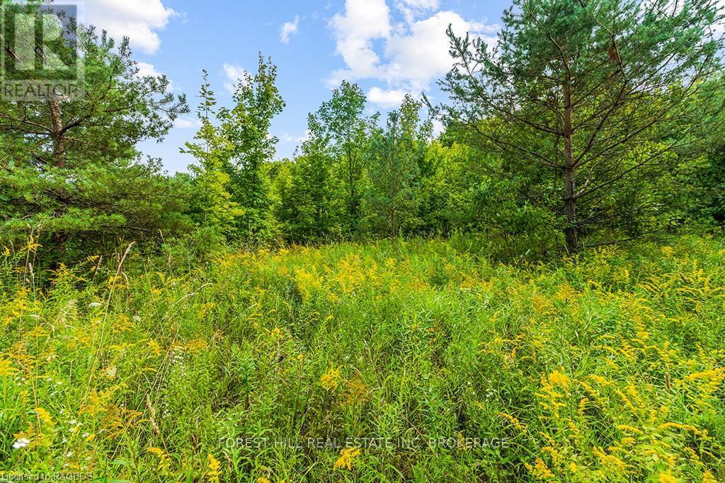 Lt40 Highland Drive, West Grey, Ontario  N0C 1H0 - Photo 16 - X10847514