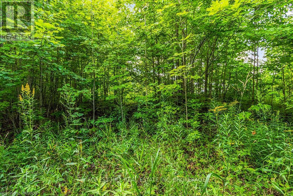 Lt40 Highland Drive, West Grey, Ontario  N0C 1H0 - Photo 18 - X10847514