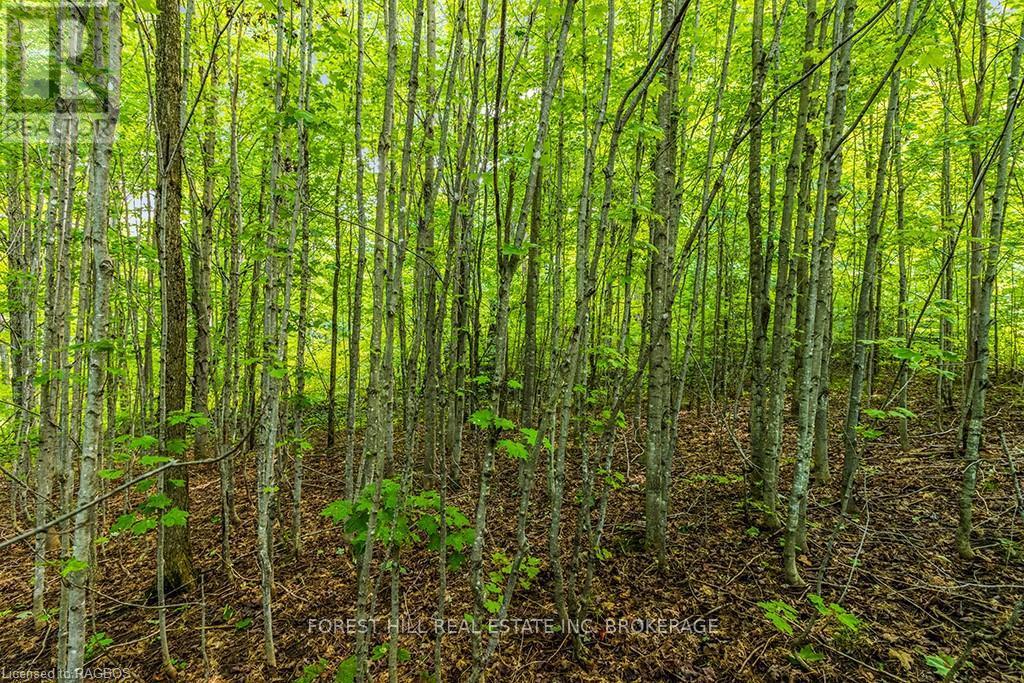 Lt40 Highland Drive, West Grey, Ontario  N0C 1H0 - Photo 19 - X10847514