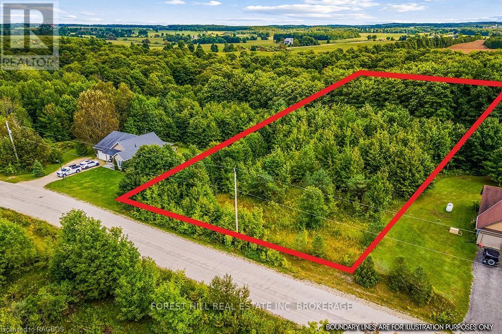 Lt40 Highland Drive, West Grey, Ontario  N0C 1H0 - Photo 7 - X10847514