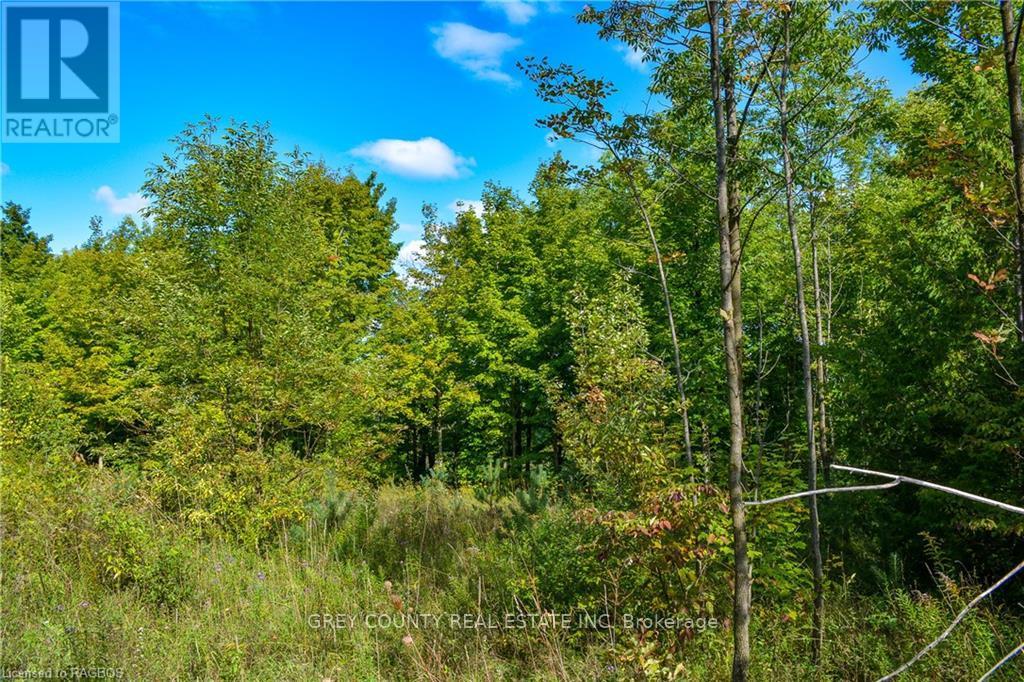 396436 2, Chatsworth, Ontario  N0H 1G0 - Photo 14 - X10848218
