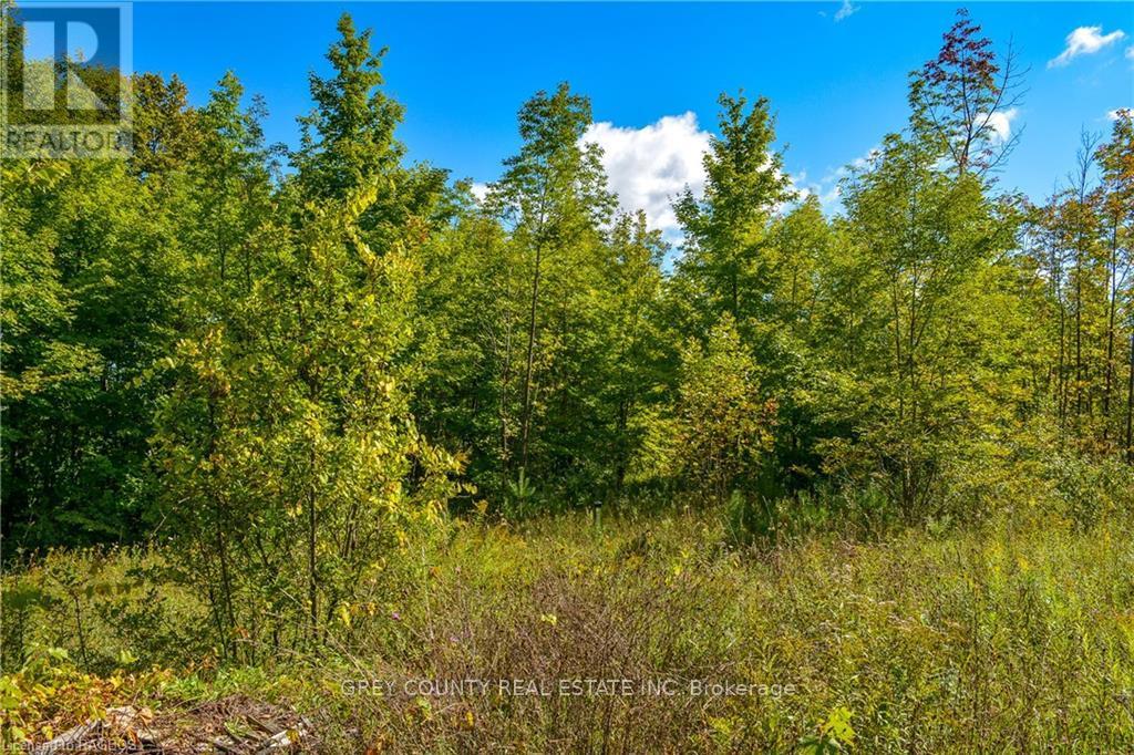 396436 2, Chatsworth, Ontario  N0H 1G0 - Photo 17 - X10848218