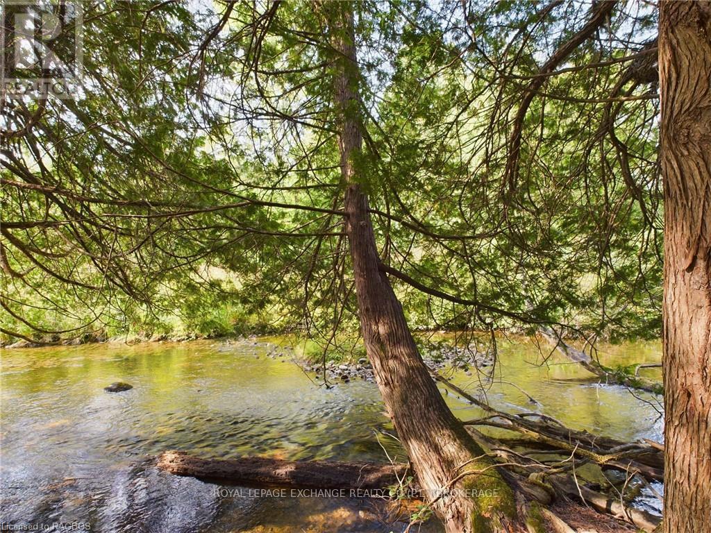 502265 Concession 10 Ndr, West Grey, Ontario  N0G 1S0 - Photo 11 - X10847646