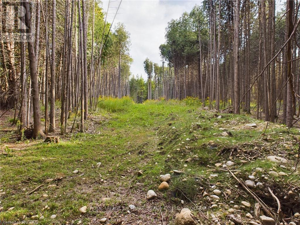 502265 Concession 10 Ndr, West Grey, Ontario  N0G 1S0 - Photo 23 - X10847646