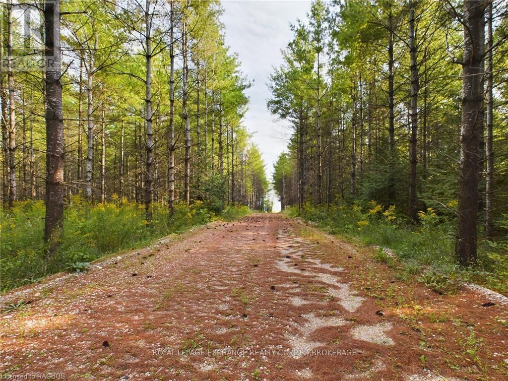 502265 Concession 10 Ndr, West Grey, Ontario  N0G 1S0 - Photo 26 - X10847646