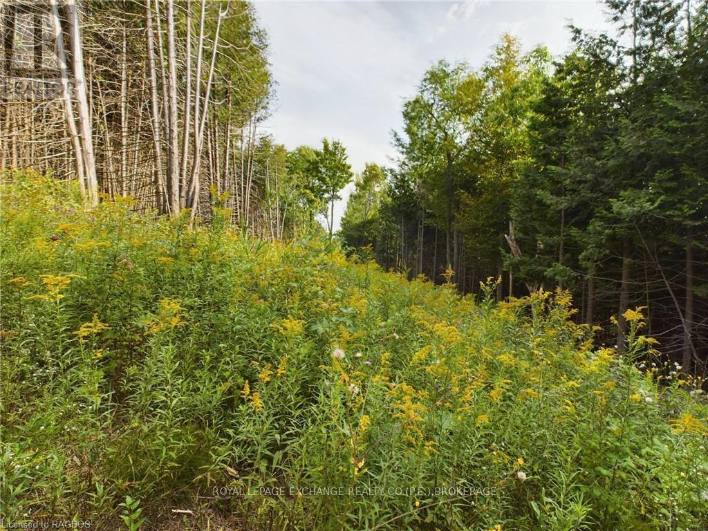 502265 Concession 10 Ndr, West Grey, Ontario  N0G 1S0 - Photo 27 - X10847646