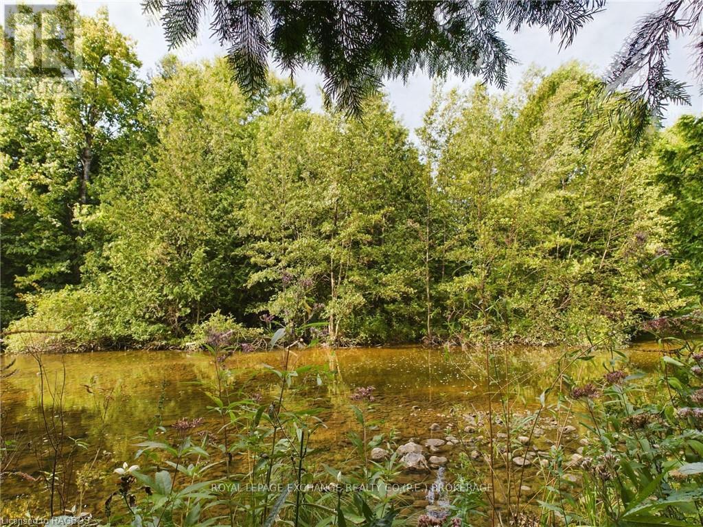 502265 Concession 10 Ndr, West Grey, Ontario  N0G 1S0 - Photo 4 - X10847646