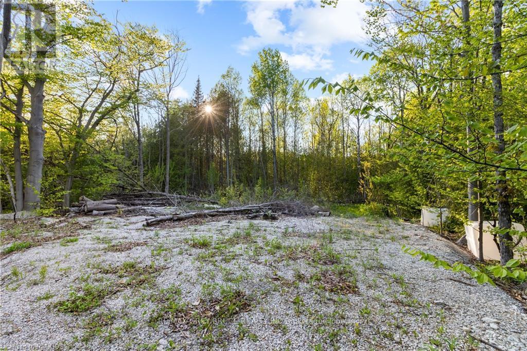 71 Maple Drive, Northern Bruce Peninsula, Ontario  N0H 1Z0 - Photo 10 - X10848731