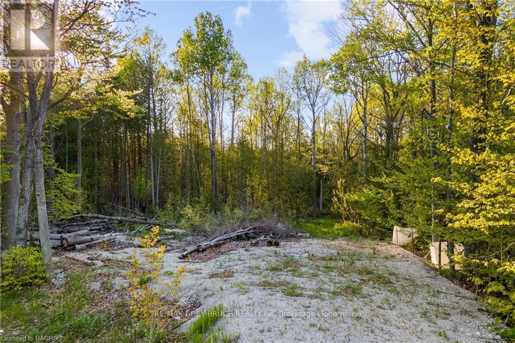 71 Maple Drive, Northern Bruce Peninsula, Ontario  N0H 1Z0 - Photo 11 - X10848731