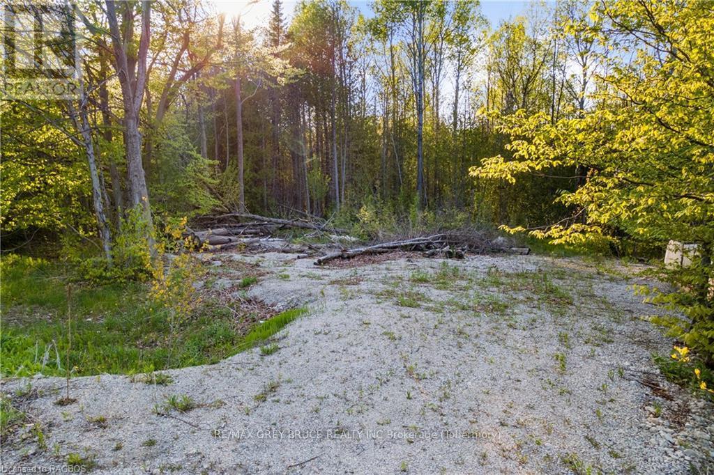 71 Maple Drive, Northern Bruce Peninsula, Ontario  N0H 1Z0 - Photo 12 - X10848731