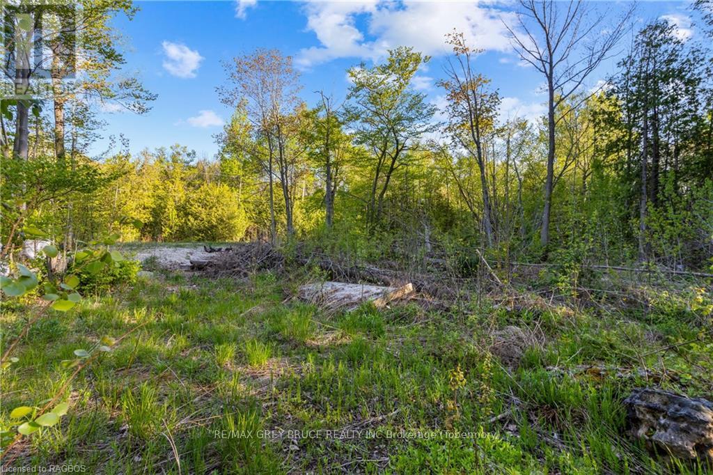 71 Maple Drive, Northern Bruce Peninsula, Ontario  N0H 1Z0 - Photo 15 - X10848731