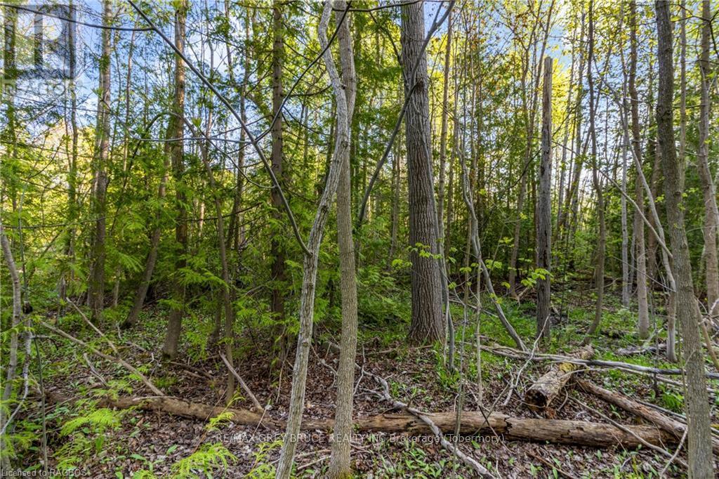71 Maple Drive, Northern Bruce Peninsula, Ontario  N0H 1Z0 - Photo 17 - X10848731
