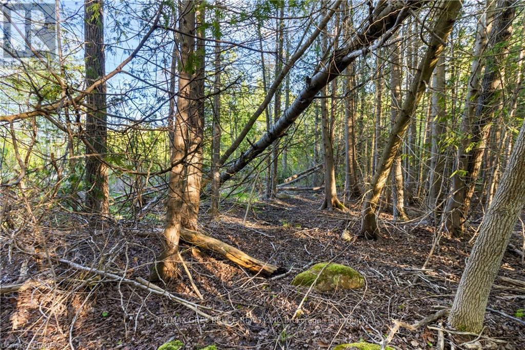 71 Maple Drive, Northern Bruce Peninsula, Ontario  N0H 1Z0 - Photo 19 - X10848731