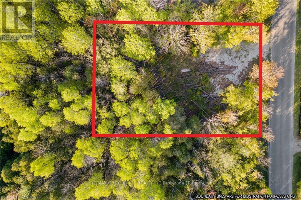 71 Maple Drive, Northern Bruce Peninsula, Ontario  N0H 1Z0 - Photo 4 - X10848731