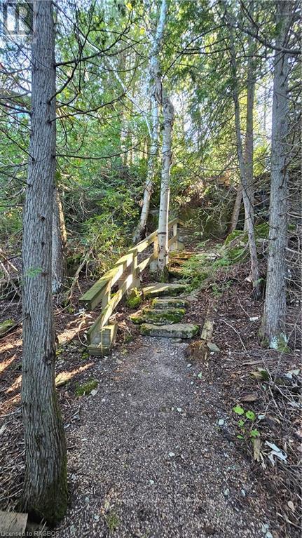 8 Carter Road, Northern Bruce Peninsula, Ontario  N0H 1W0 - Photo 29 - X10848732