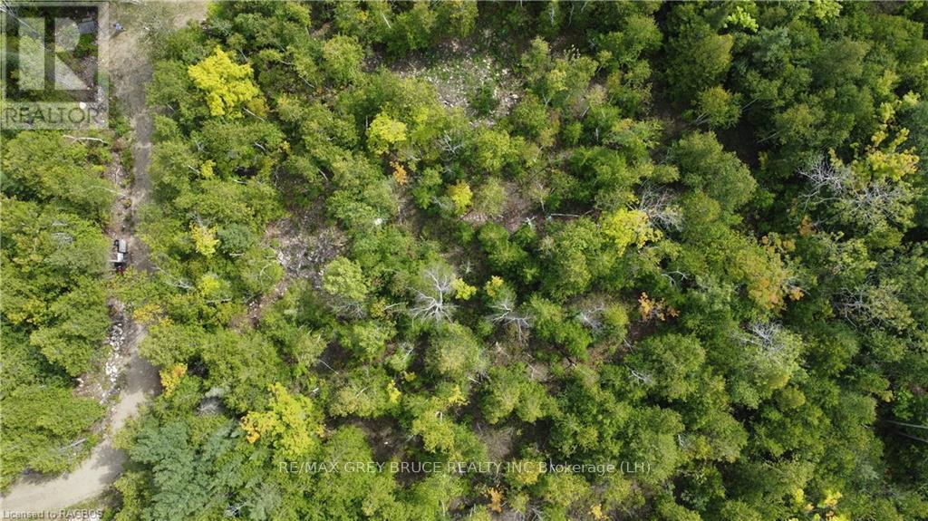 41 Noble Drive, Northern Bruce Peninsula, Ontario  N0H 1Z0 - Photo 12 - X10848742