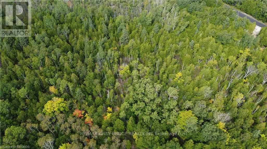 41 Noble Drive, Northern Bruce Peninsula, Ontario  N0H 1Z0 - Photo 14 - X10848742