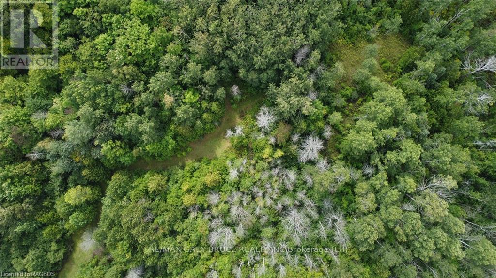 41 Noble Drive, Northern Bruce Peninsula, Ontario  N0H 1Z0 - Photo 23 - X10848742