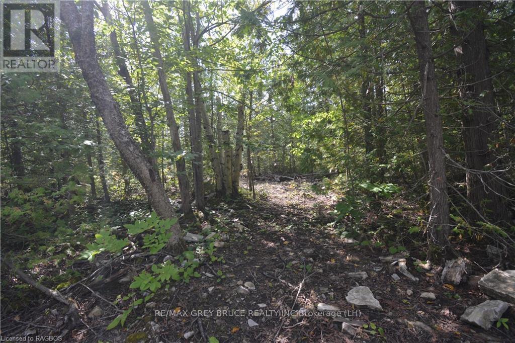 41 Noble Drive, Northern Bruce Peninsula, Ontario  N0H 1Z0 - Photo 29 - X10848742