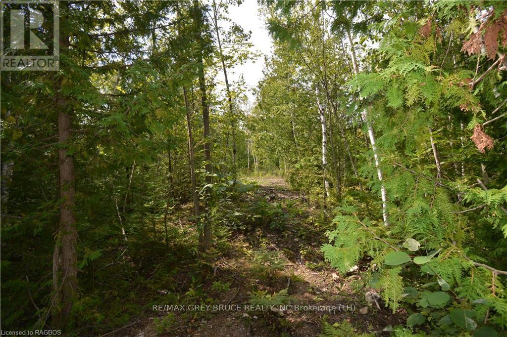 41 Noble Drive, Northern Bruce Peninsula, Ontario  N0H 1Z0 - Photo 30 - X10848742