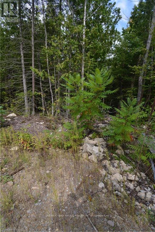 41 Noble Drive, Northern Bruce Peninsula, Ontario  N0H 1Z0 - Photo 37 - X10848742