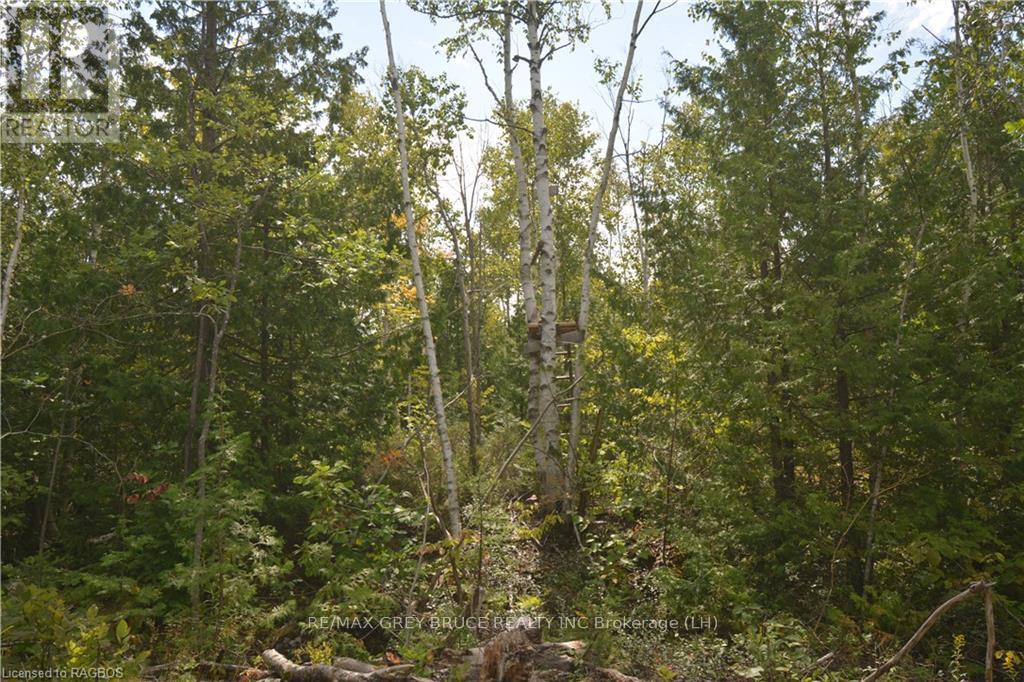 41 Noble Drive, Northern Bruce Peninsula, Ontario  N0H 1Z0 - Photo 39 - X10848742