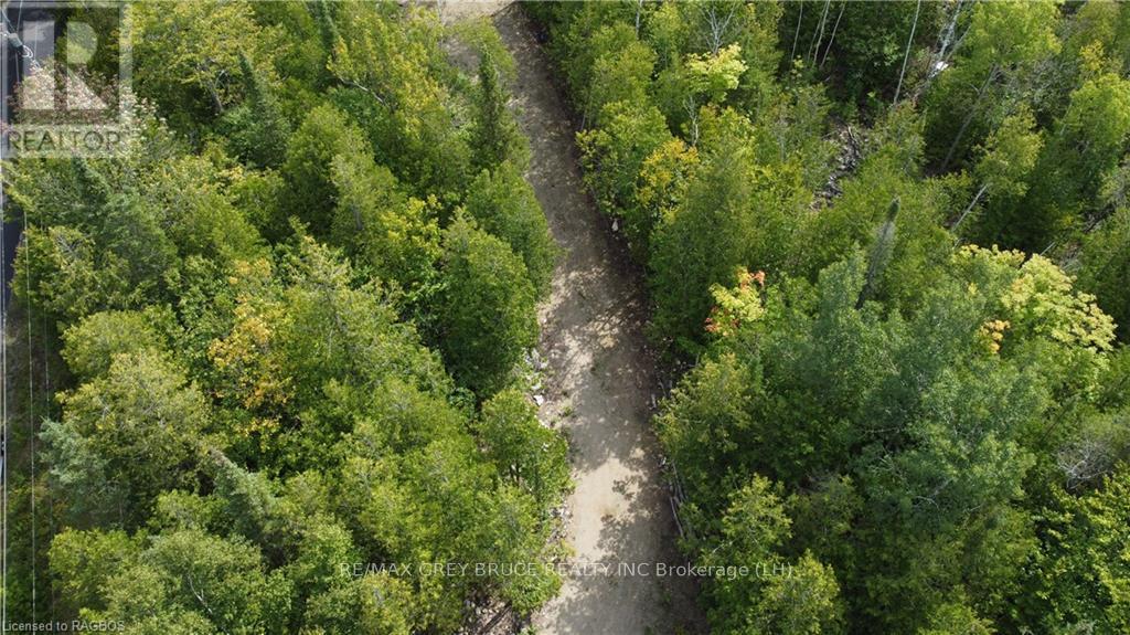 41 Noble Drive, Northern Bruce Peninsula, Ontario  N0H 1Z0 - Photo 7 - X10848742