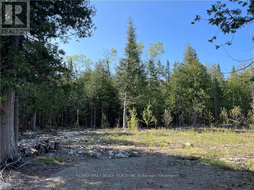 Lot 13 East Road, Northern Bruce Peninsula, Ontario  N0H 1W0 - Photo 14 - X10848822