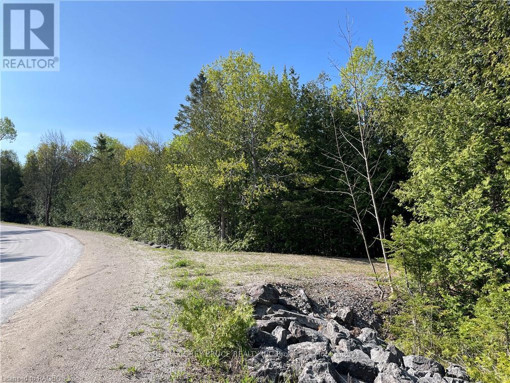 Lot 13 East Road, Northern Bruce Peninsula, Ontario  N0H 1W0 - Photo 7 - X10848822