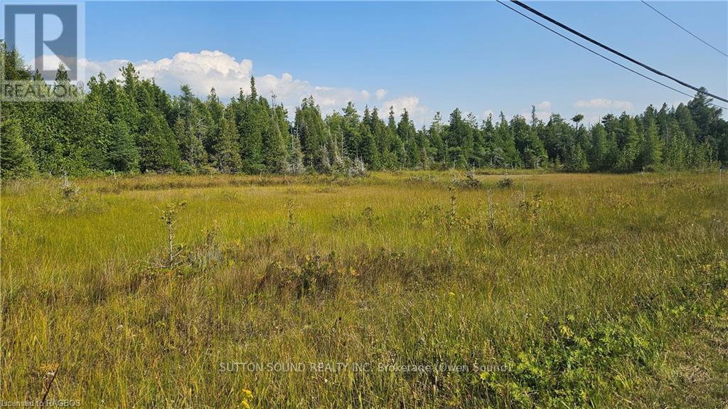 223 Bay Street, South Bruce Peninsula, Ontario  N0H 2T0 - Photo 2 - X10847434