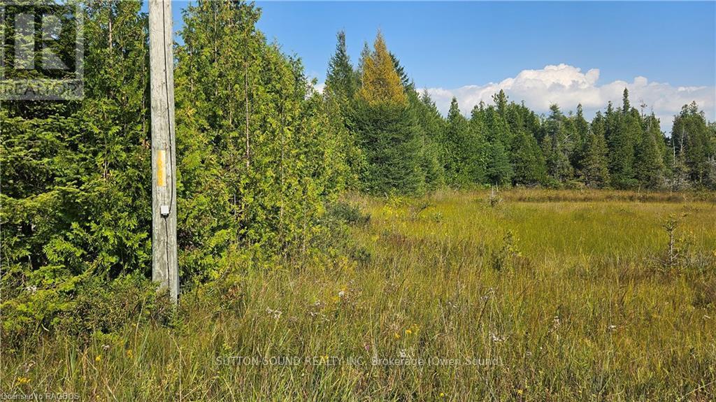 223 Bay Street, South Bruce Peninsula, Ontario  N0H 2T0 - Photo 4 - X10847434