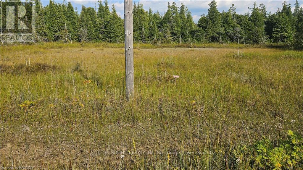 223 Bay Street, South Bruce Peninsula, Ontario  N0H 2T0 - Photo 5 - X10847434
