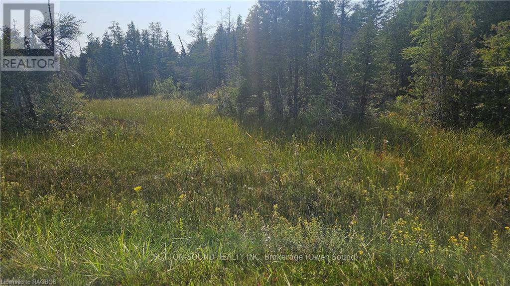 223 Bay Street, South Bruce Peninsula, Ontario  N0H 2T0 - Photo 8 - X10847434