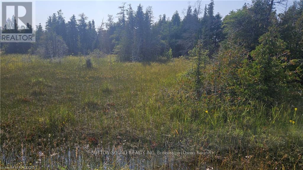 223 Bay Street, South Bruce Peninsula, Ontario  N0H 2T0 - Photo 9 - X10847434