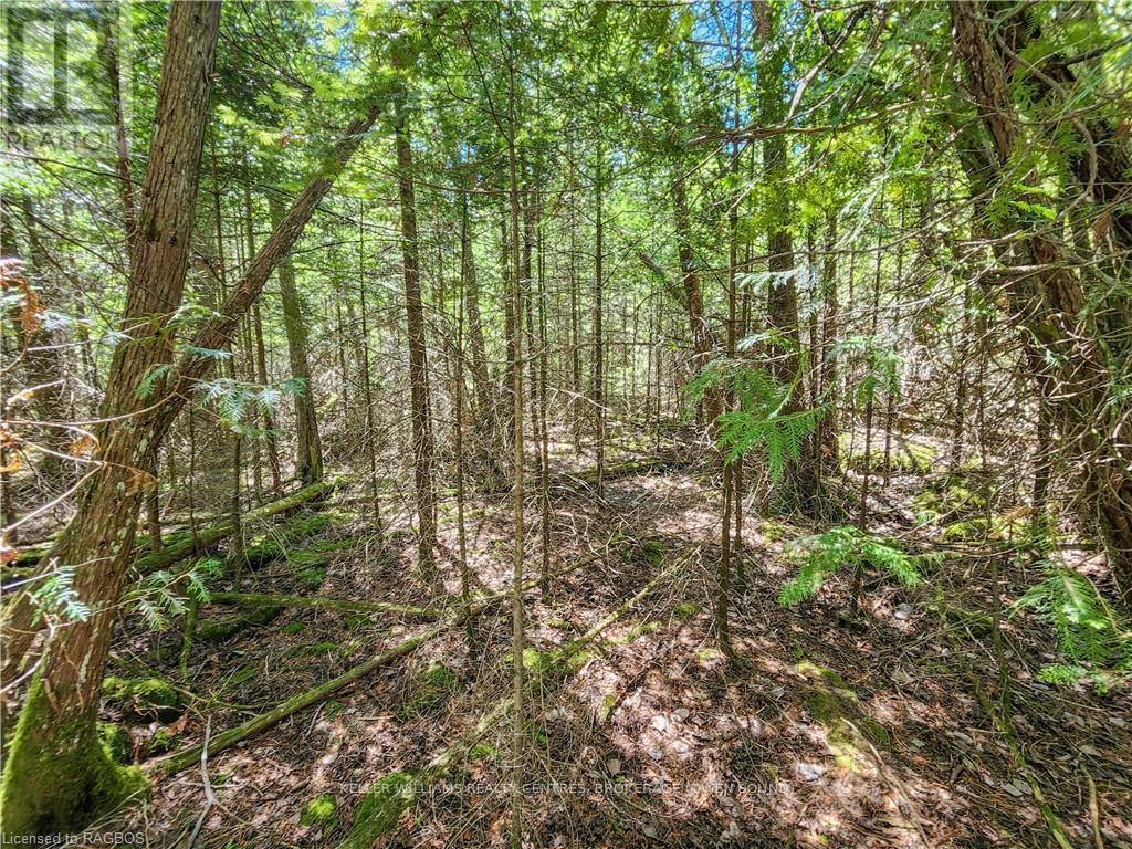 Lot 13 Trillium Crossing, Northern Bruce Peninsula, Ontario  N0H 1W0 - Photo 15 - X10848027