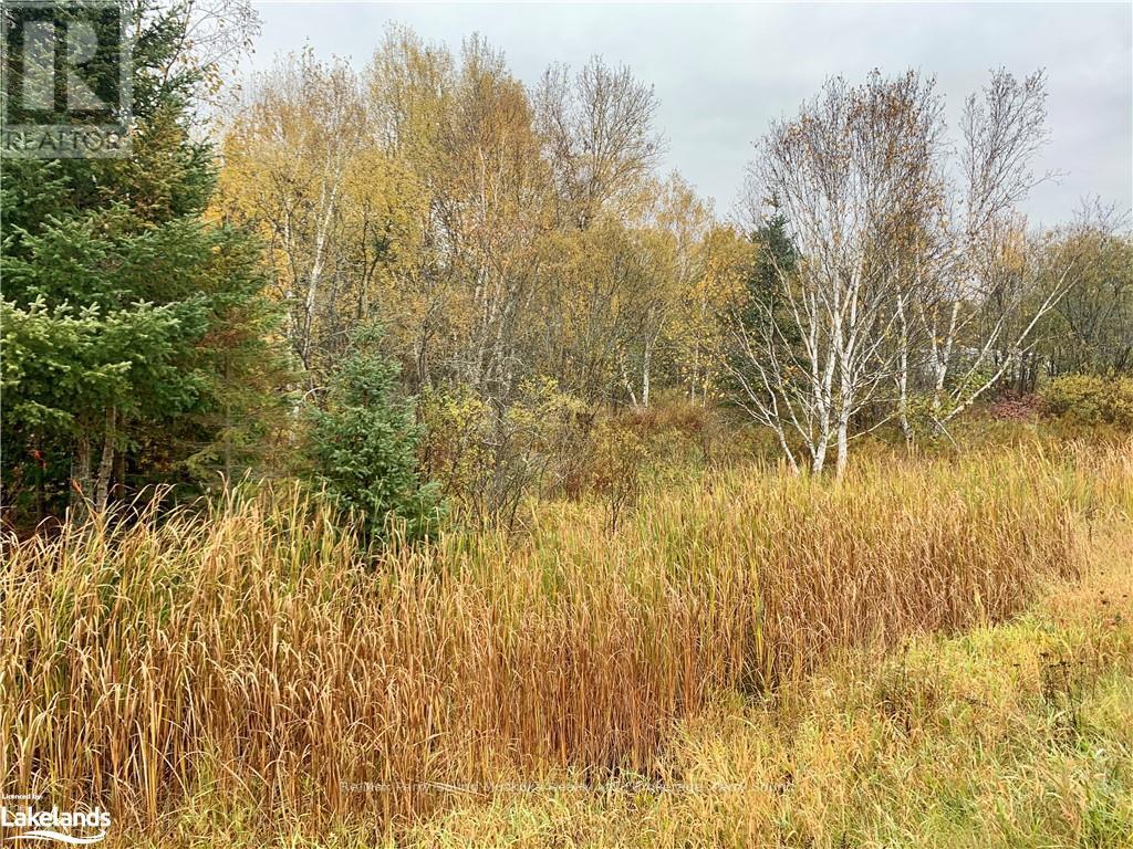 Lot 1 Highway 124, Whitestone, Ontario  P0A 1G0 - Photo 4 - X10895415