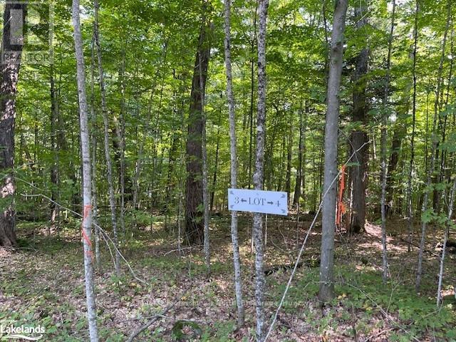 1448-3 West Oxbow Lake Road, Lake Of Bays, Ontario  P1H 2J6 - Photo 7 - X10895525