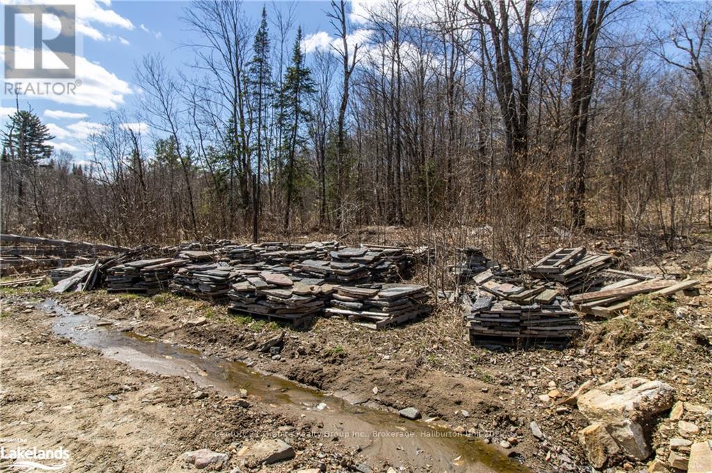 13495 Highway 35, Minden Hills, Ontario  K0M 2K0 - Photo 10 - X10895681