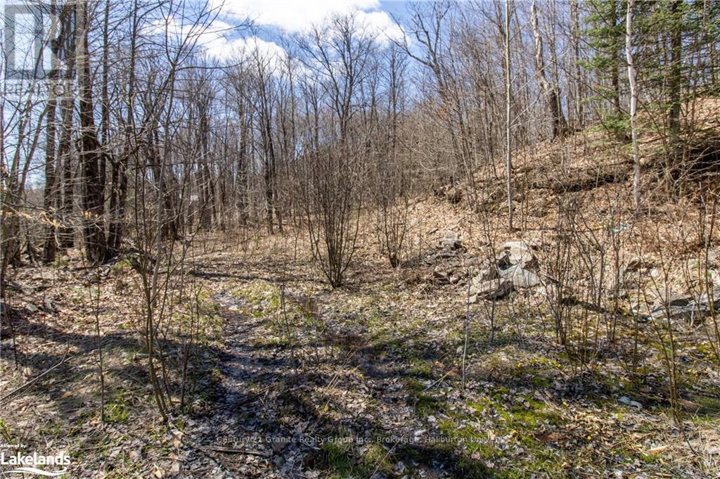 13495 Highway 35, Minden Hills, Ontario  K0M 2K0 - Photo 12 - X10895681