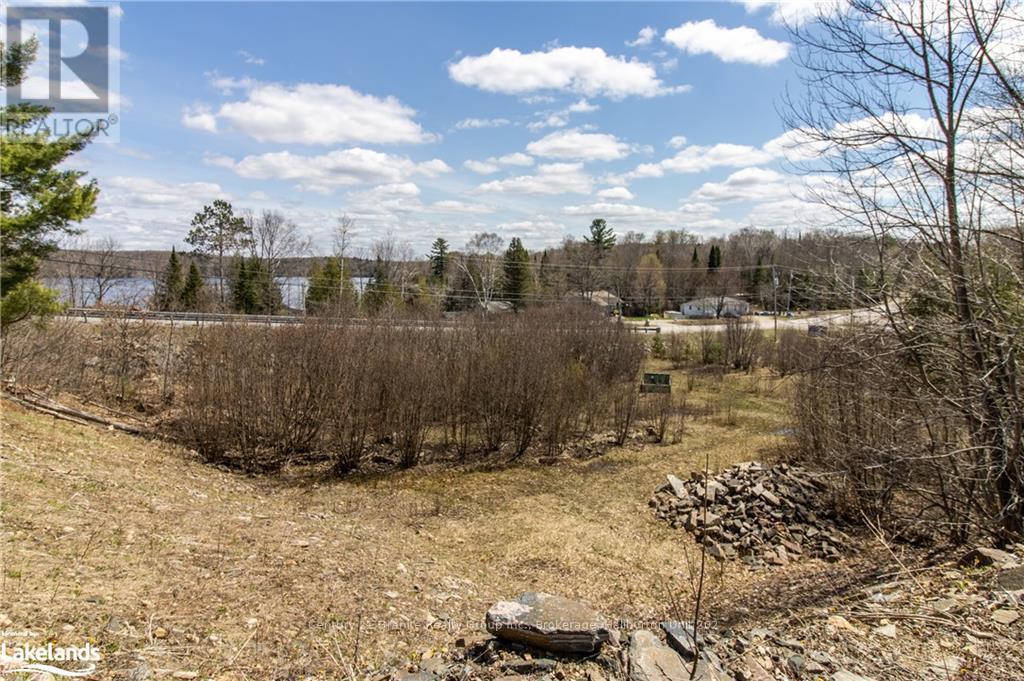 13495 Highway 35, Minden Hills, Ontario  K0M 2K0 - Photo 27 - X10895681