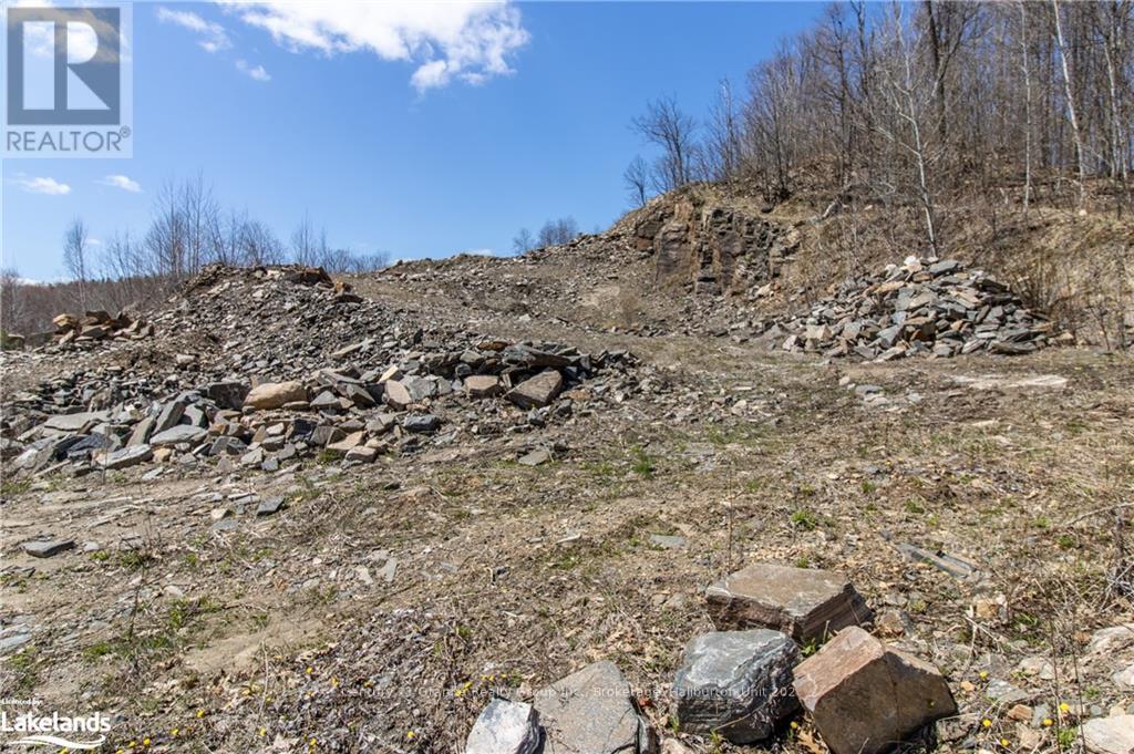 13495 Highway 35, Minden Hills, Ontario  K0M 2K0 - Photo 5 - X10895681