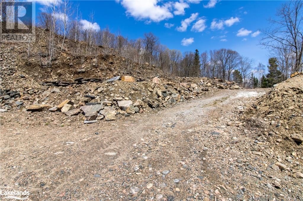 13495 Highway 35, Minden Hills, Ontario  K0M 2K0 - Photo 7 - X10895681