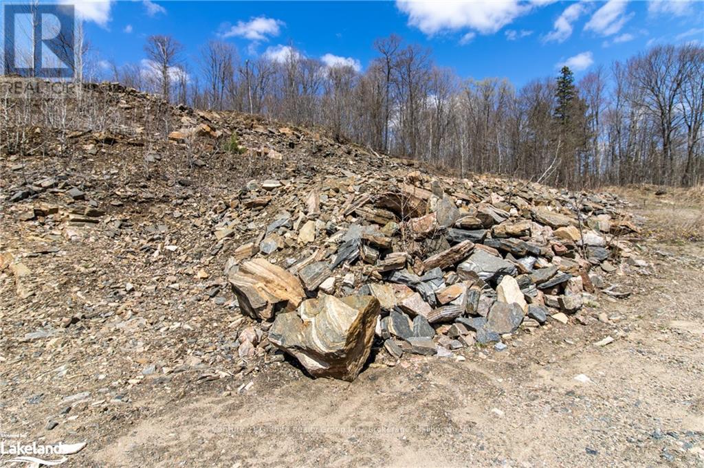 13495 Highway 35, Minden Hills, Ontario  K0M 2K0 - Photo 8 - X10895681