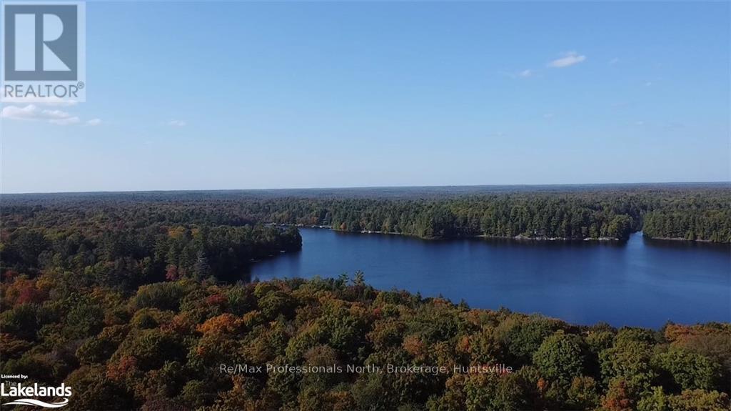 4 Stone Gate Lane, Bracebridge, Ontario  P1L 1X3 - Photo 17 - X10895810