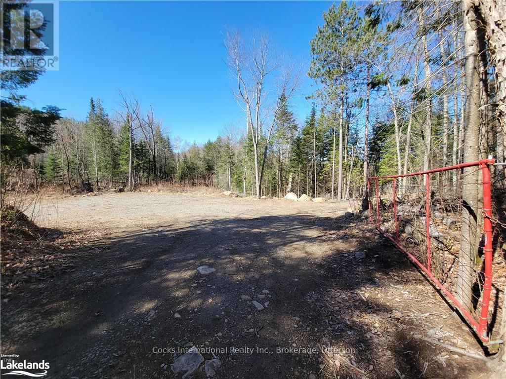 0 Highway 35, Lake Of Bays, Ontario  P0A 1E0 - Photo 12 - X10895858