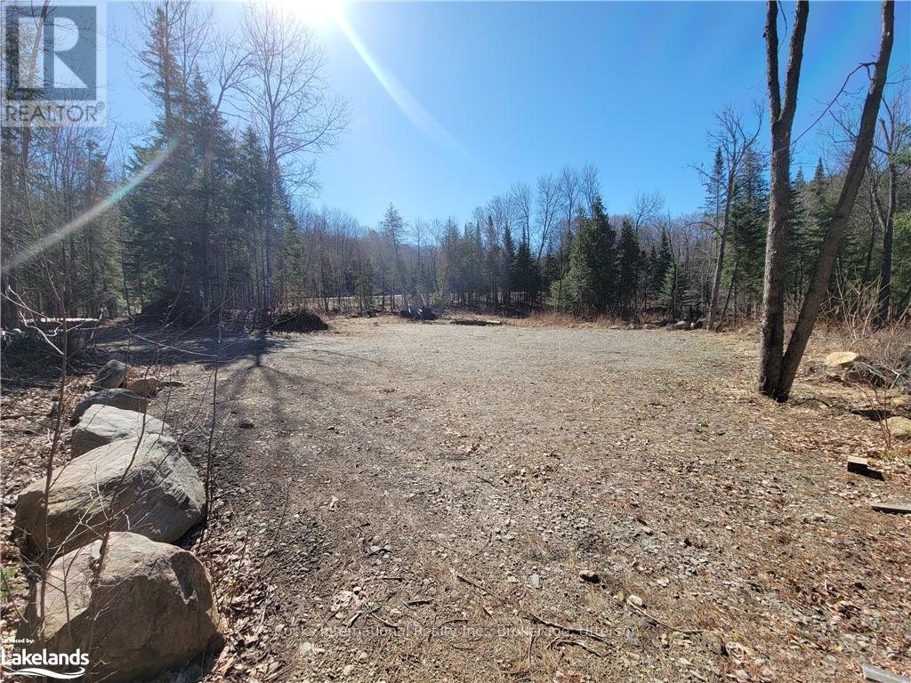 0 Highway 35, Lake Of Bays, Ontario  P0A 1E0 - Photo 13 - X10895858