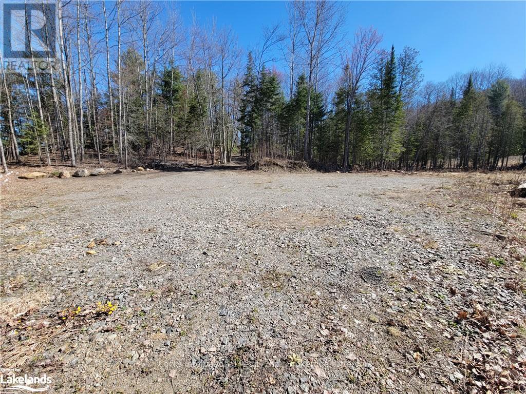 0 Highway 35, Lake Of Bays, Ontario  P0A 1E0 - Photo 14 - X10895858